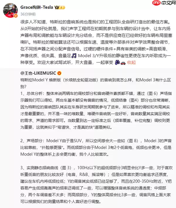 陶琳:特斯拉音响系统采用全自研设计 还有神秘黑科技