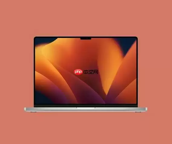 mac系统怎么写论文