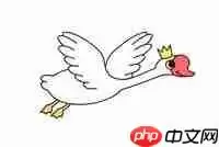 如何学会画优雅天鹅简笔画