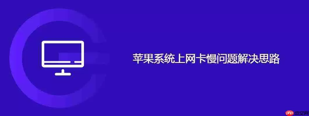 苹果系统上网卡慢问题解决思路