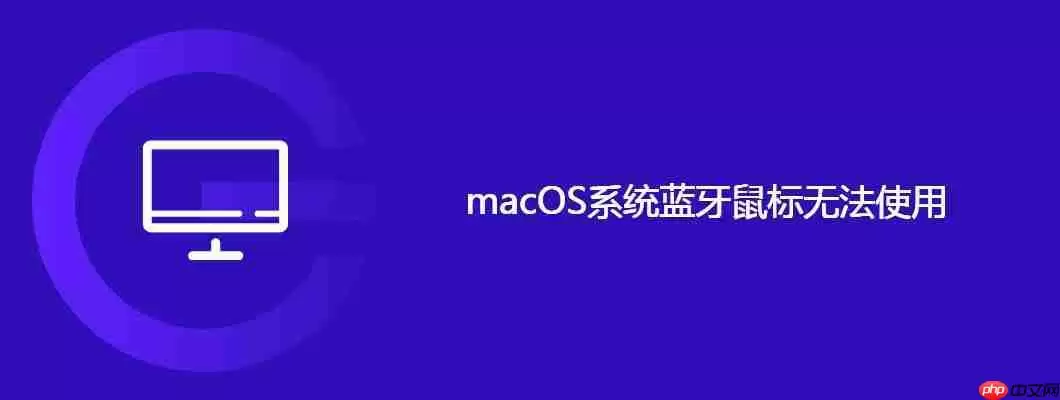 macos系统蓝牙鼠标无法使用