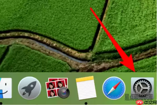 Mac电脑能联网网页打不开处理方法