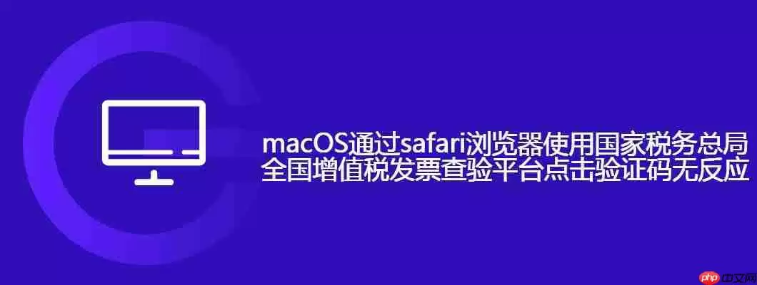 safari浏览器使用国家税务总局全国增值税发票查验平台点击验证码无反应