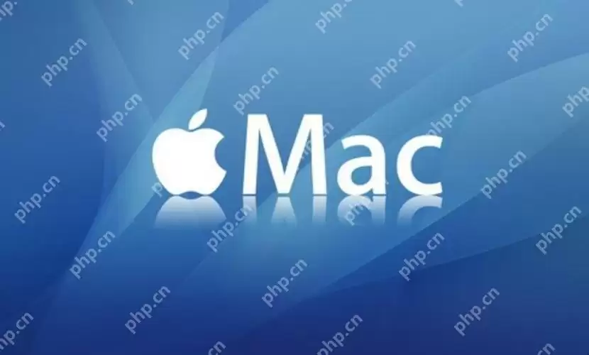 mac系统怎么查看端口