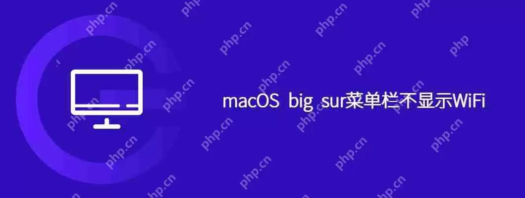 macos big sur菜单栏不显示wifi