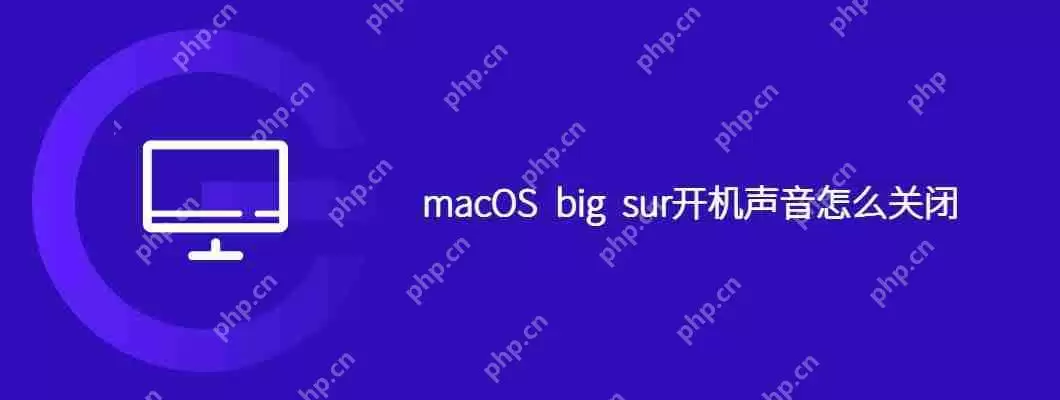 macos big sur开机声音怎么关闭