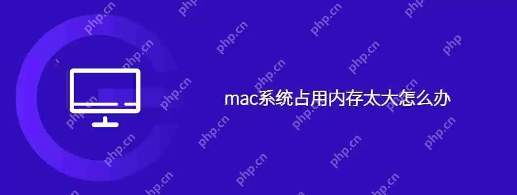 mac系统占用内存太大怎么办