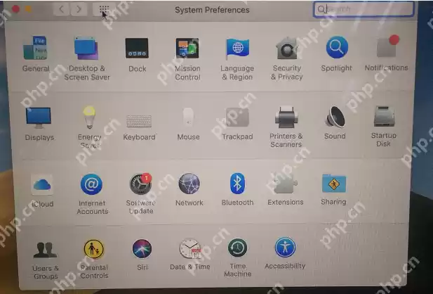 Mac更改系统语言为英语步骤