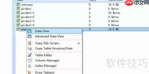 DB Master生成数据库表的TXT格式报表方法