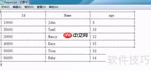 DB Master生成数据库表的TXT格式报表方法