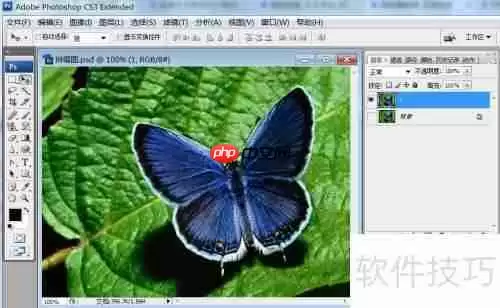 PS拼缀图特效:影像案例分析与技巧分享