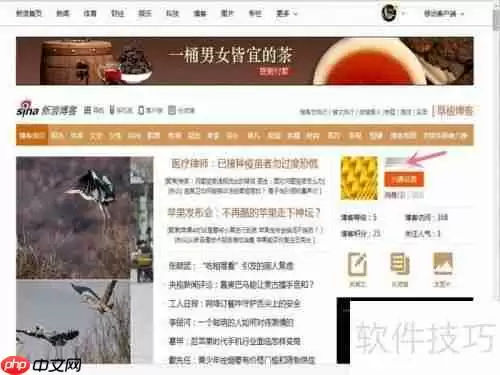 新手上路：如何在新浪网博客发布博文