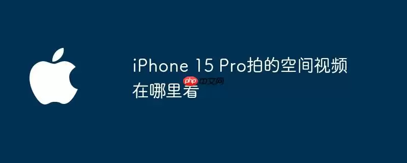 iphone 15 pro拍的空间视频在哪里看
