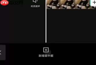 剪映画中画两个视频怎么融合 剪映画中画两个视频融合方法