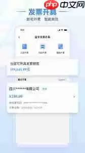 湖南税务app能不能开电子发票