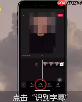 剪映字幕怎么一句一句的出 具体操作步骤