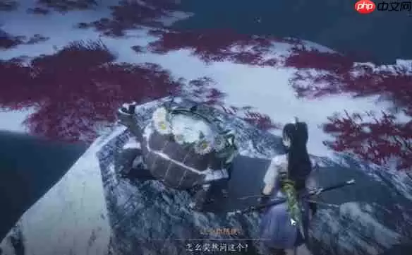 燕云十六声明亮的星任务超详细通关指南