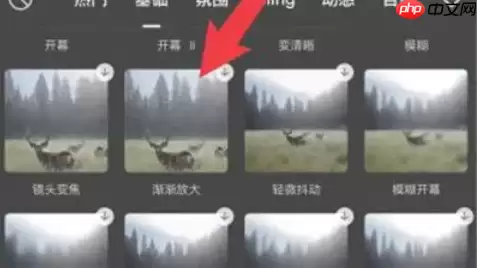 剪映如何放大视频中的某一部分 剪映放大视频某部分方法介绍