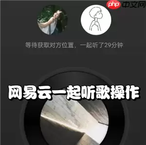网易云一起听歌一个人暂停了另一个还在播放吗 网易云一起听歌一方有vip另一方能听到vip歌曲吗
