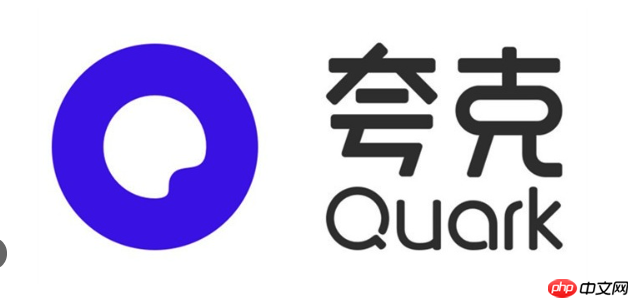 夸克网盘APP的会员服务有哪些特权,如何购买和续费?