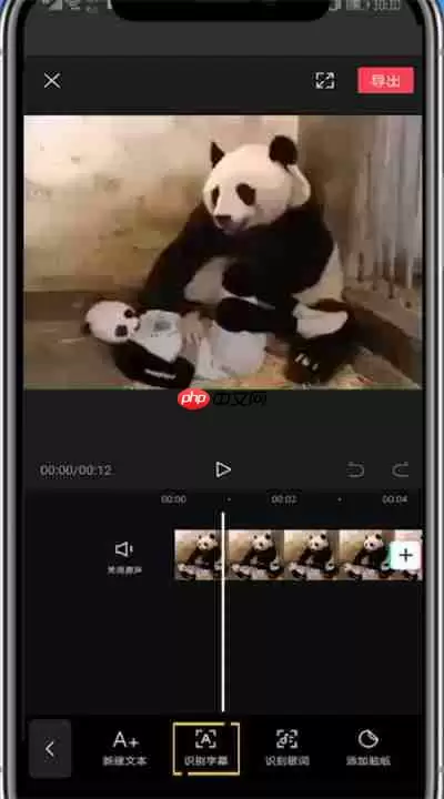剪映如何识别配音里面的文字 具体操作方法