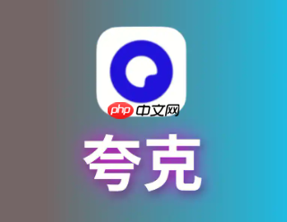 夸克浏览器老司机模式怎么打开 夸克浏览器老司机模式打开后怎么解除