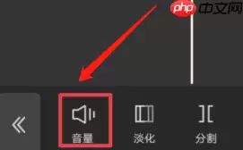 剪映音乐声音大小怎么调 剪映音乐声音大小调整方法介绍