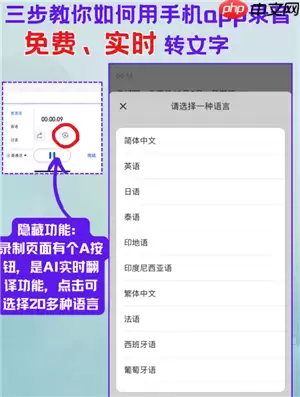 飞书妙计语音转文字免费吗 飞书妙计语音转文字怎么导出
