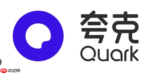 夸克浏览器手机端播放在线视频时如何调整画质和音量？