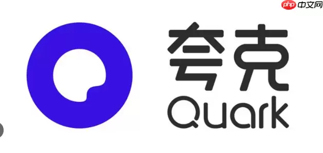 夸克网盘APP的离线下载功能怎么用，有哪些实用技巧？