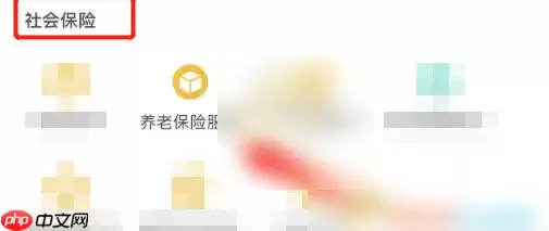 四川人社app如何办理申请养老保险延期 四川人社暂停养老保险方法