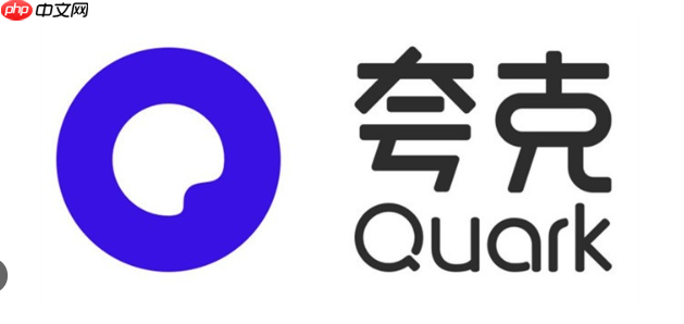 使用夸克网盘APP上传大文件时遇到卡顿该如何解决?