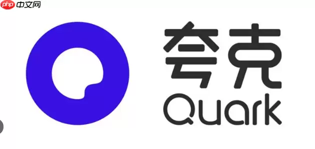 使用夸克网盘APP上传大文件时遇到卡顿该如何解决？