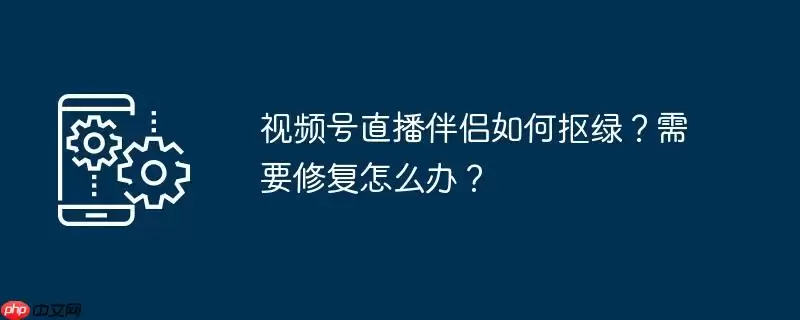 视频号直播伴侣如何抠绿？需要修复怎么办？