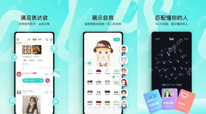 Soul头像裁剪异常怎么办? - 游乐网