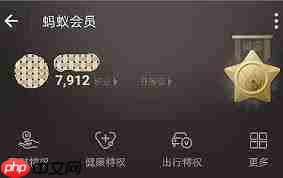 支付宝积分有哪些用途