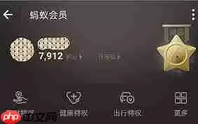 支付宝积分有哪些用途