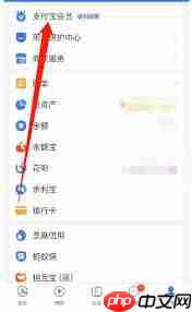 支付宝积分有哪些用途