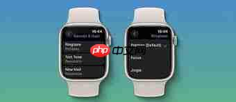 Apple watch能否设置电话铃声