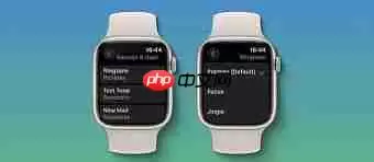 Apple watch能否设置电话铃声