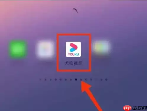 优酷app如何查看会员到期 优酷视频看会员到期时间教程