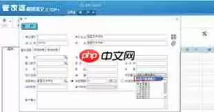 管家婆如何调账