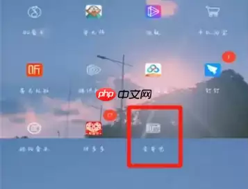 爱奇艺视频怎么去掉logo 具体操作方法介绍