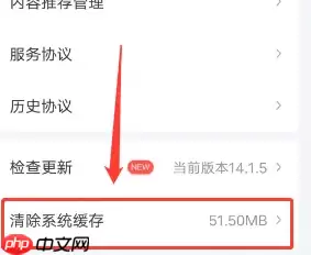 银河奇异果如何清理缓存 具体操作方法介绍