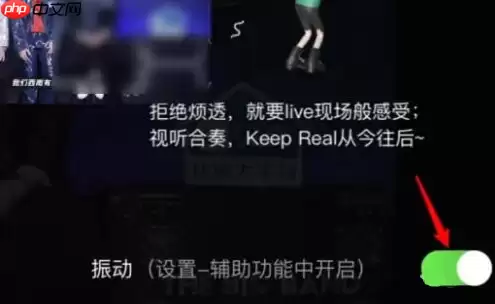 爱奇艺视频为什么会振动 爱奇艺看视频震动关闭方法