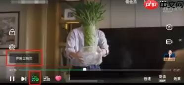 奇异果tv如何打开播放器*设置 爱奇艺开启精简模式方法