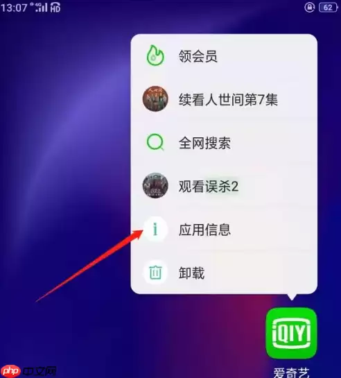 银河奇异果如何设置开机启动 爱奇艺设置自启方法介绍