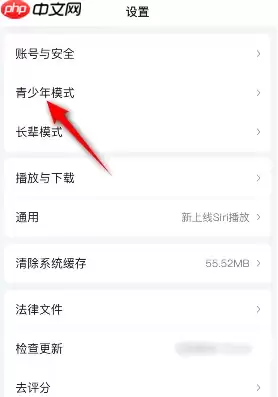 银河奇异果如何切换模式 爱奇艺切换青少年模式方法介绍