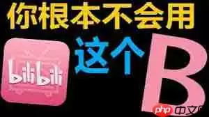 B站在线看大片入口在哪