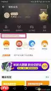 支付宝积分过期如何处理